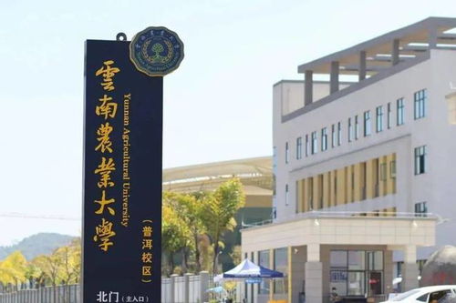 创新 全国首家开设咖啡专业的高校,开启中国高等教育新时代