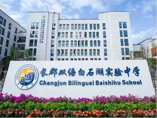 项目测评 宸嘉嘉臣道 主城滨江惟一低密,400万甄选千万级品质hao宅