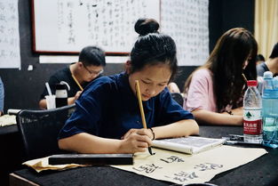 长沙市教育局批准 岳麓区教育局主管的正规艺术学校 东方星书法