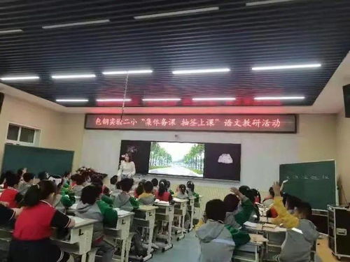 凝聚集体智慧 打造精品课堂——岳麓教育开展“集体备课 抽签上课”主题教研活动